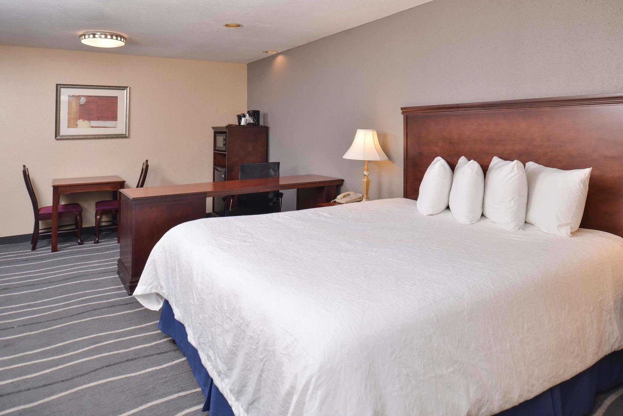 Irving Inn & Suites At Dfw Airport 外观 照片
